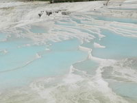 Türkei Pamukkale Kalkterassen